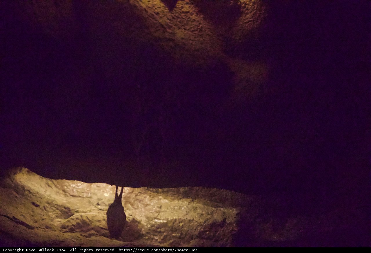 Cave Explorer: Nature's Whisper in Shadows