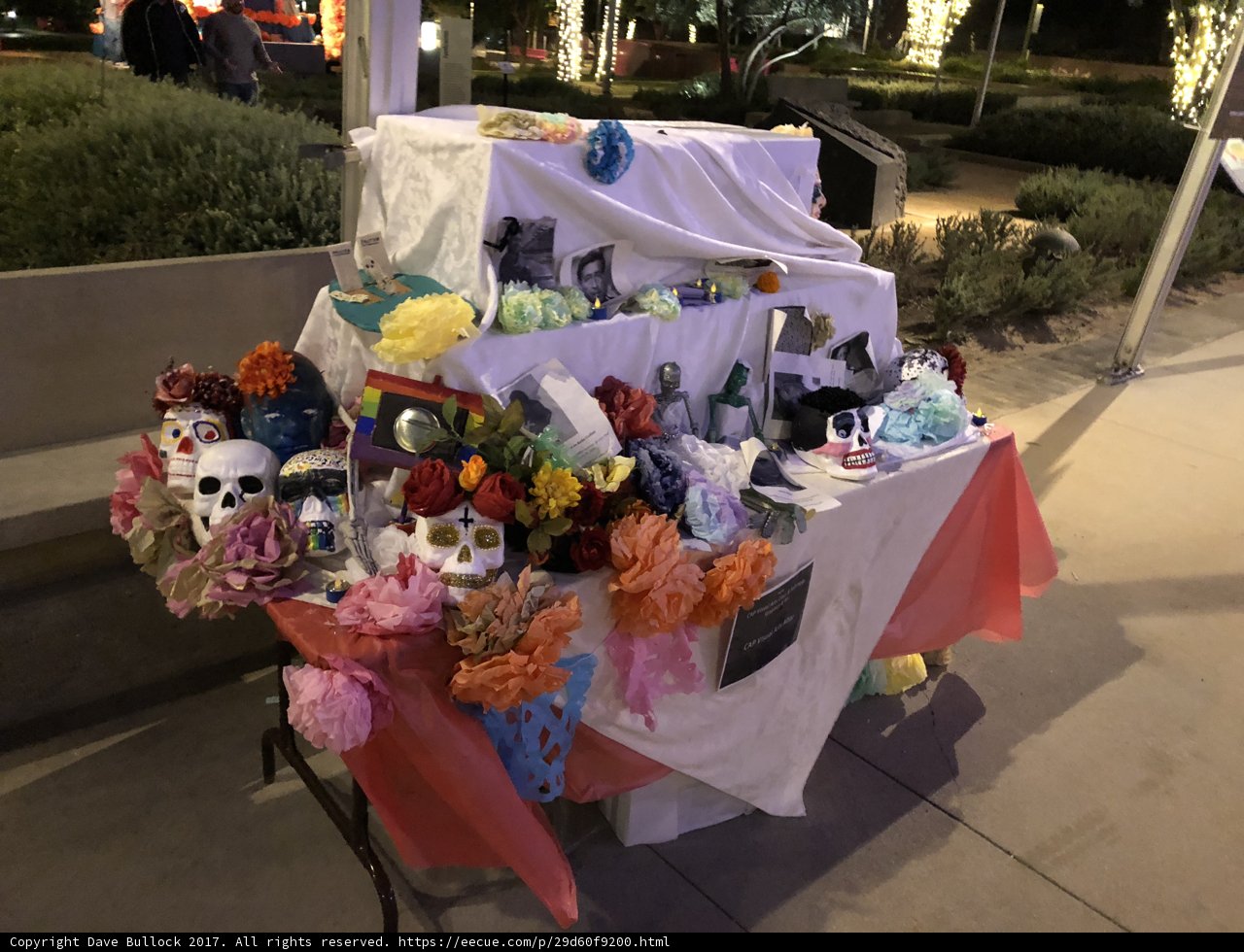 Floral Decorations Galore