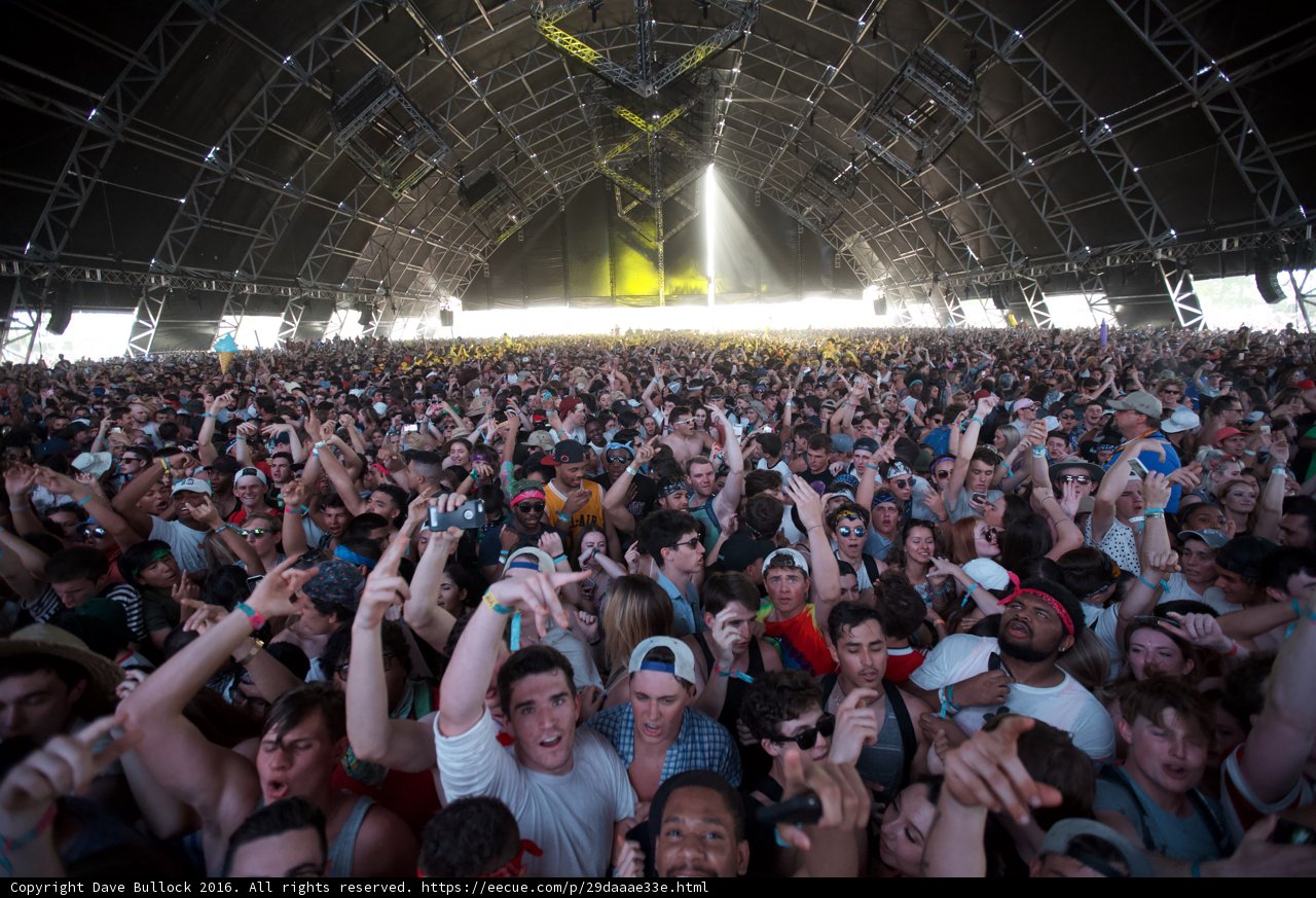 The Ultimate Party Crowd at Coachella 2016