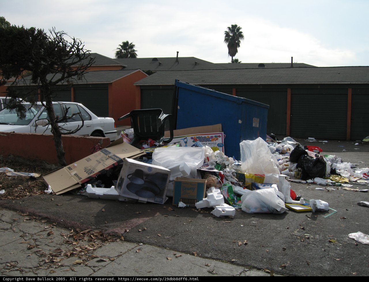 Trash and Treasures