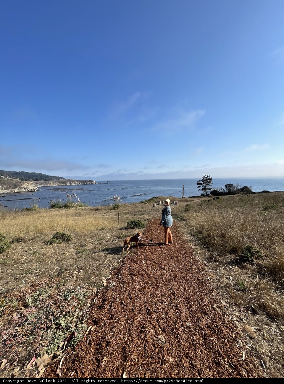 Coastal Trails with Canine Companion