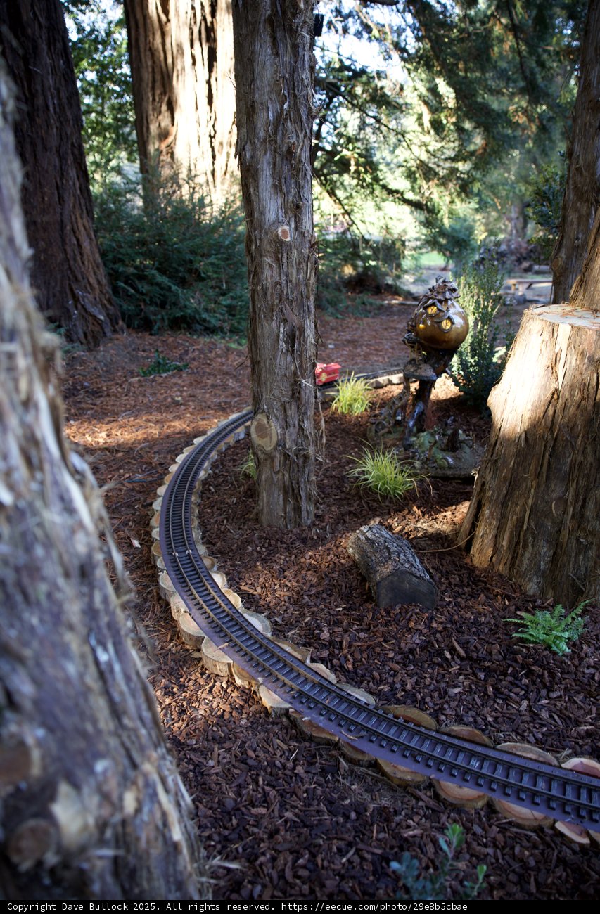 Enchanted Woodland Tracks