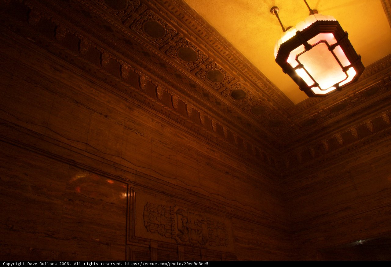 Illuminating Elegance