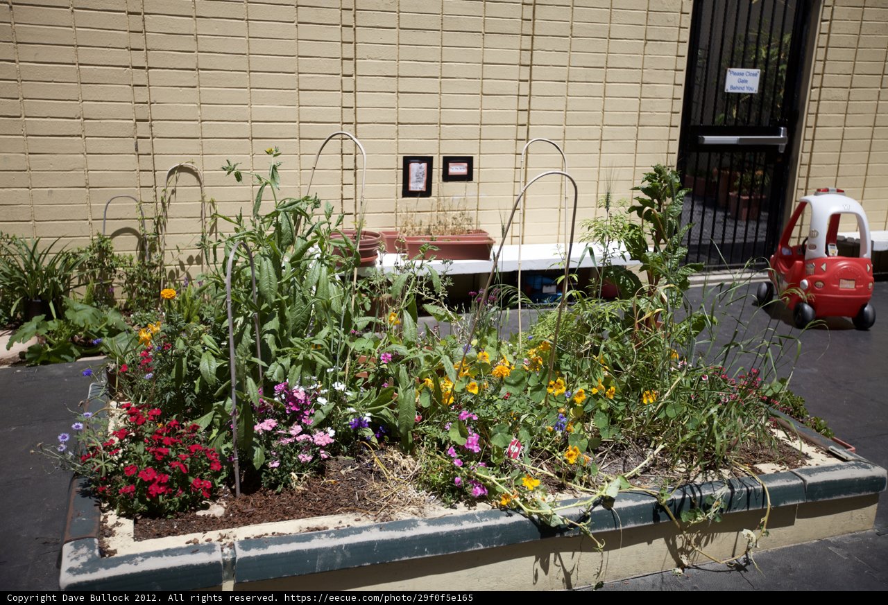 Red Truck and Garden Bed