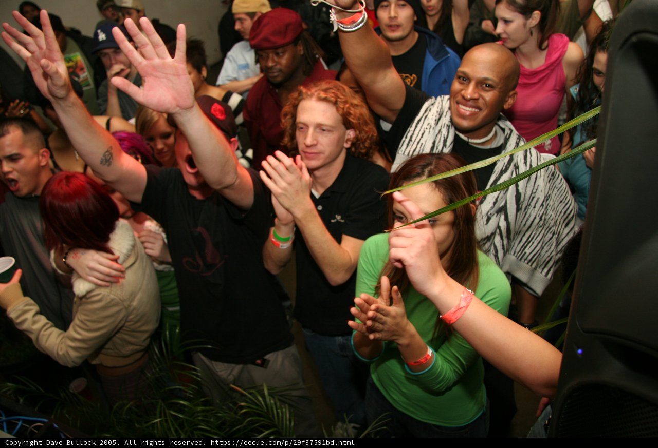 Nightlife Celebration
