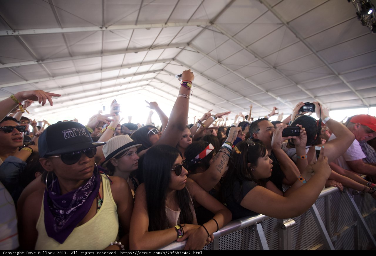 Festival Fever