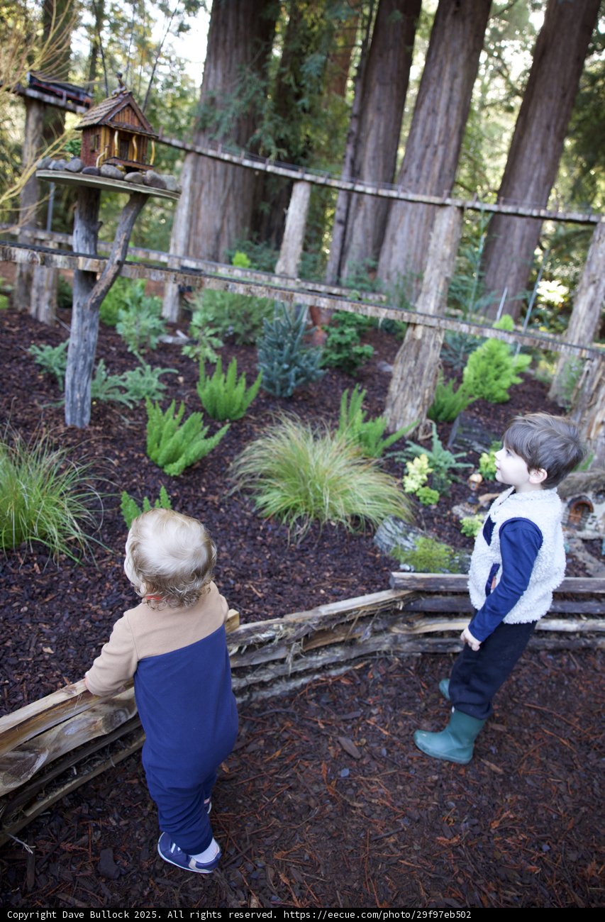 Exploring the Enchanted Garden