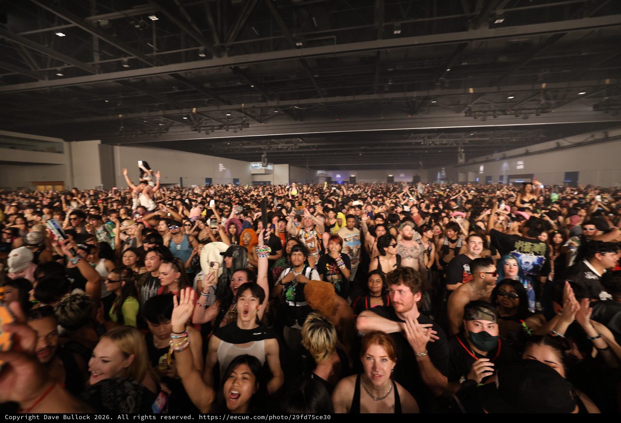 Massive Festival Crowd Erupts at Wobbleland 2026