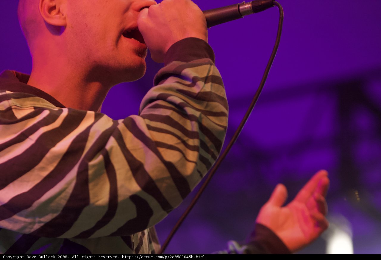 Zebra-clad Singer Steals 2008 Coachella Stage