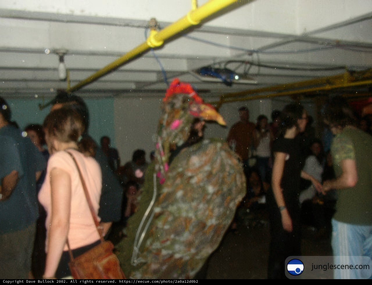 Nightclub Fun with Feathered Friends