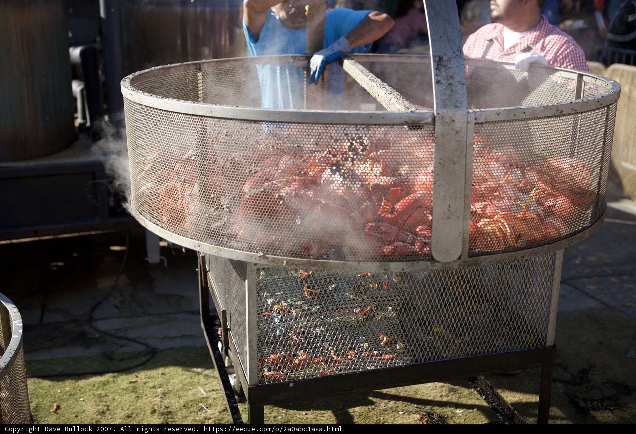 Lobster Feast on the Grill