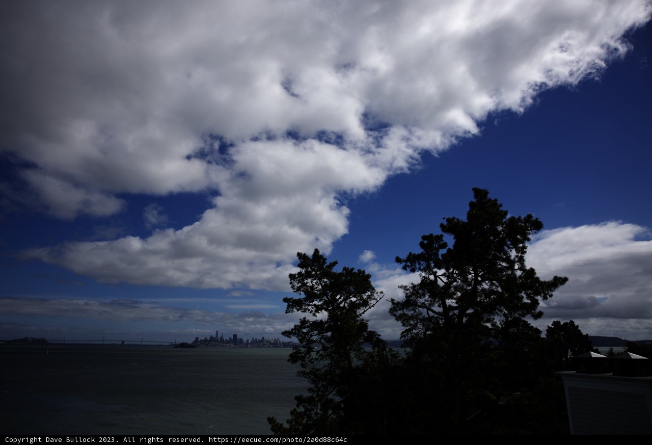 Breathtaking Bay View from Tiburon Hillside