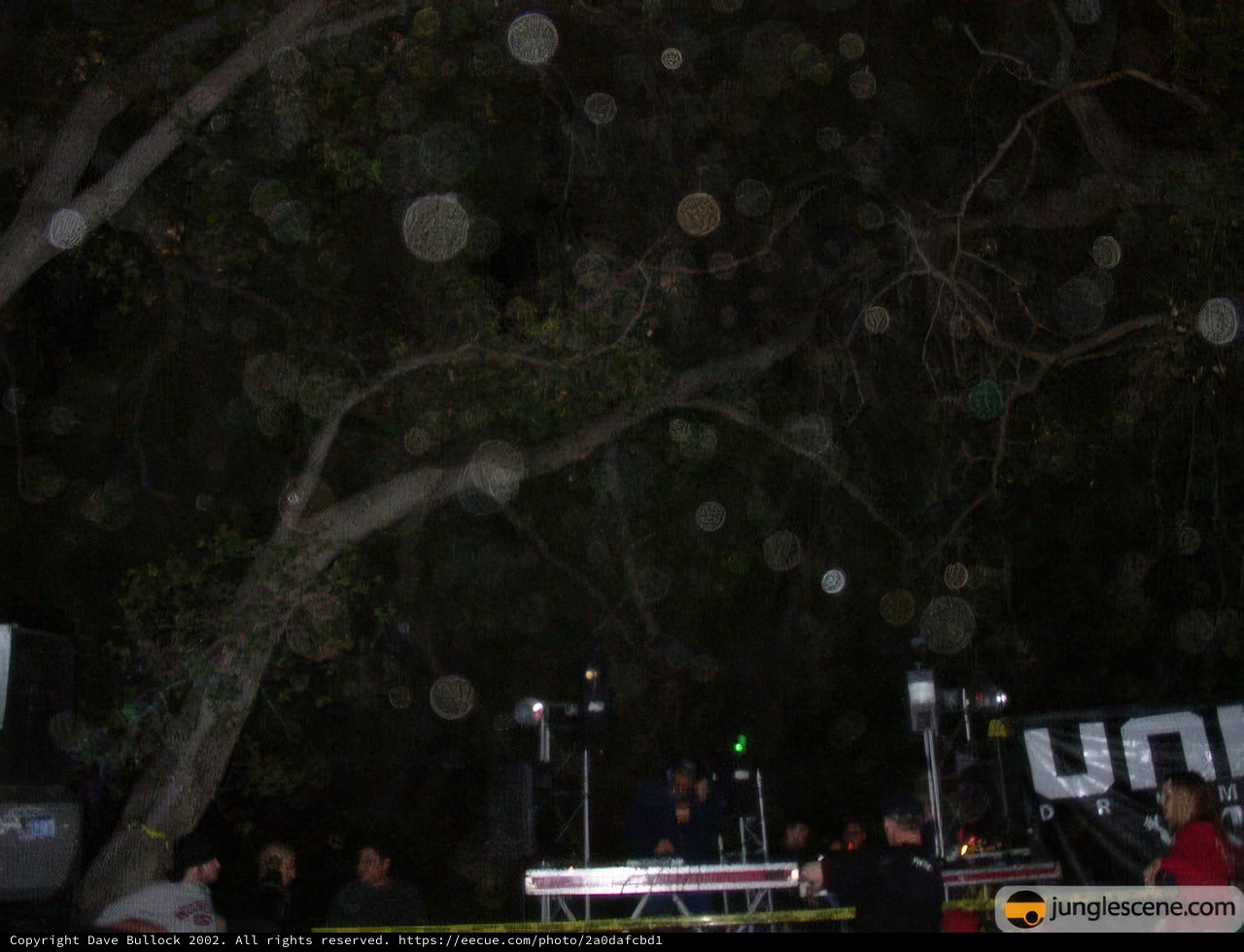 Tree-Lit Night Concert