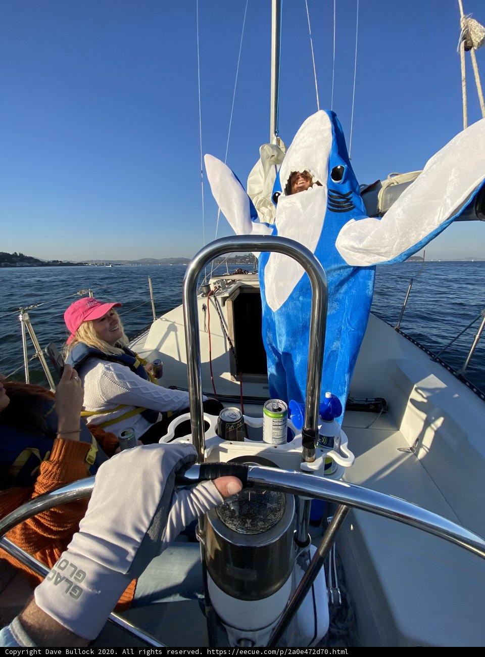 Shark Attack on a Sailboat