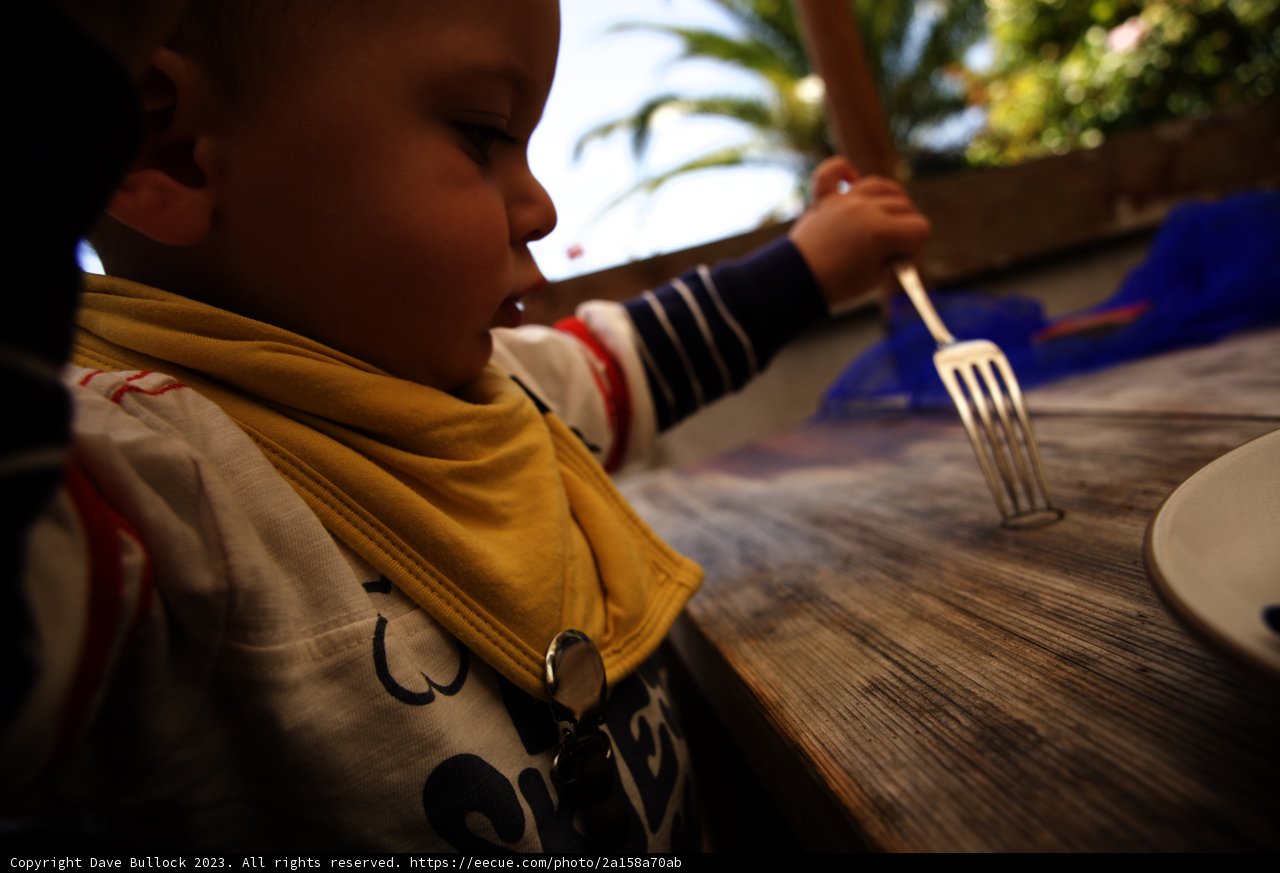 Little Foodie's Delight