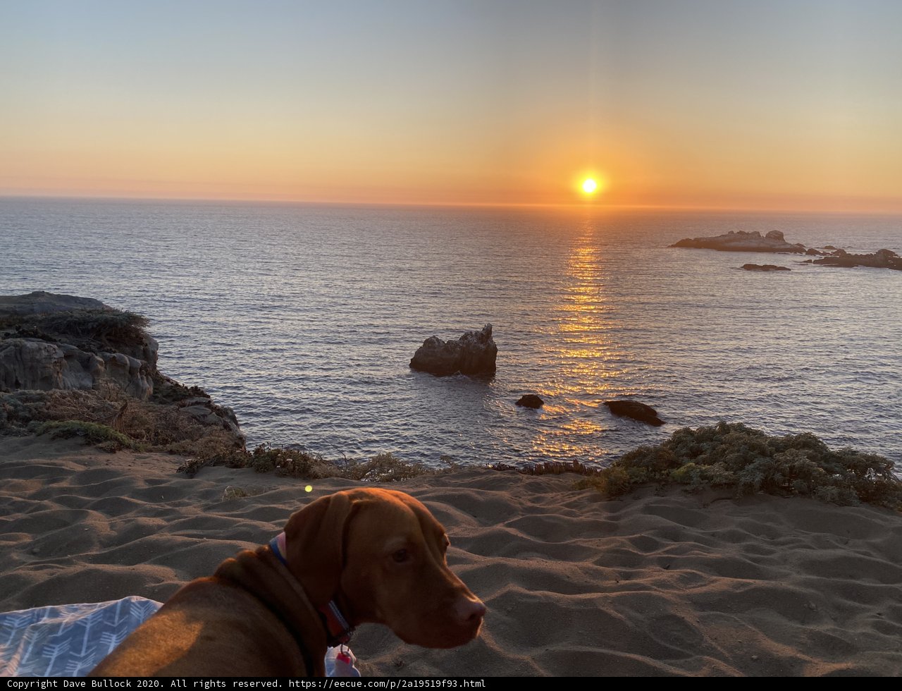 Sunset Bonding with Man's Best Friend