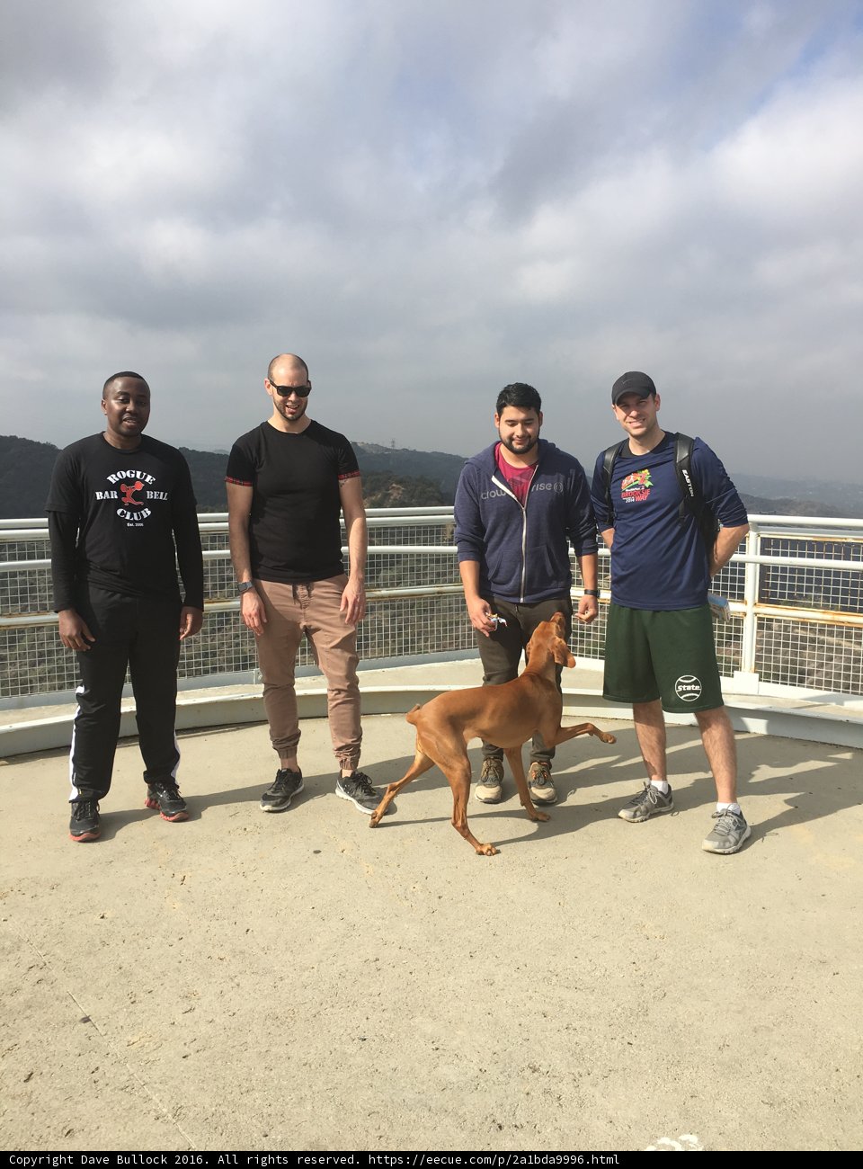 Four Men and a Canine Companion on a Santa Monica Bridge