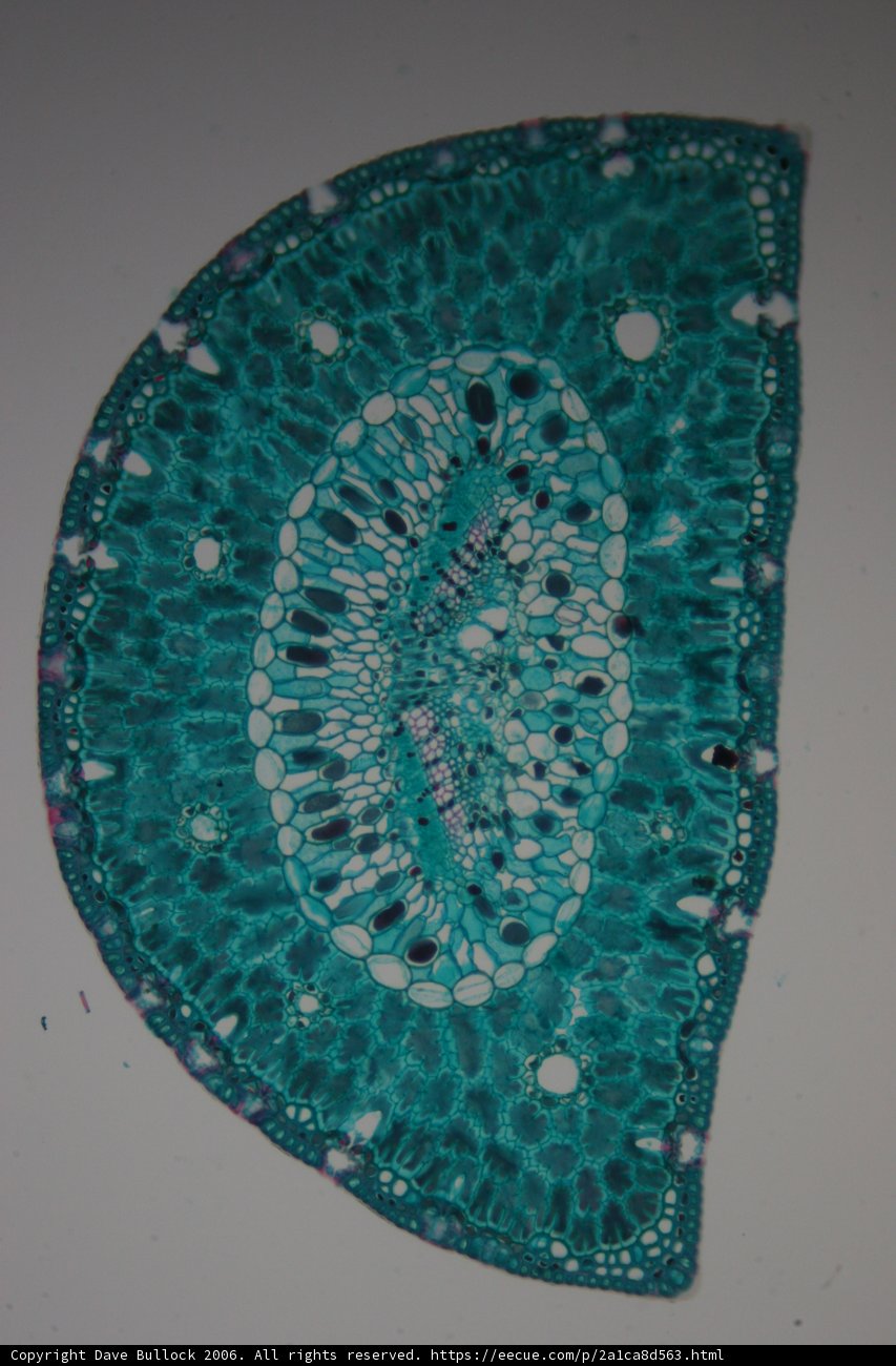 Hole in the Pattern