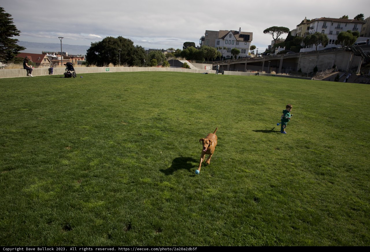 Joyful Moments at Francisco Park