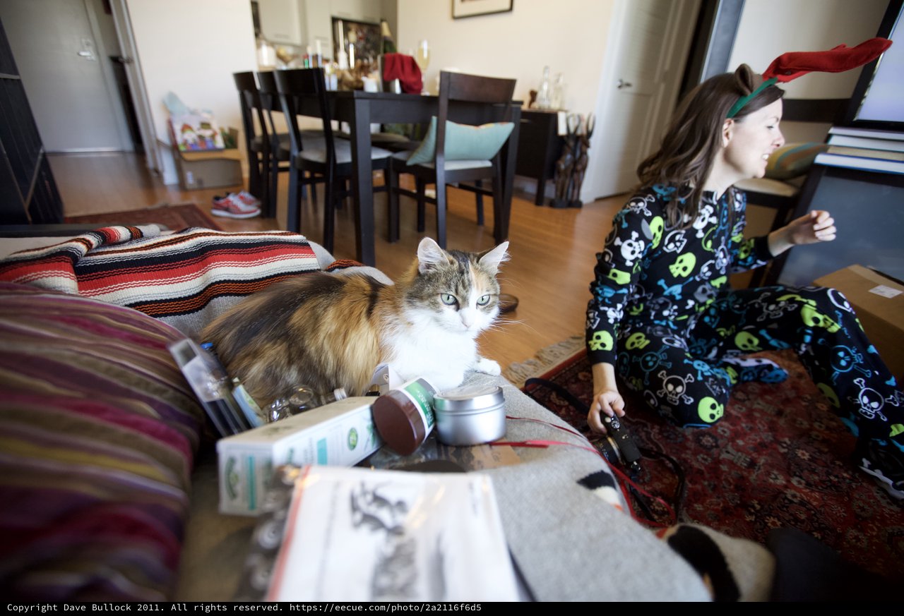 Christmas Morning Cat Chaos in Skull Pajamas