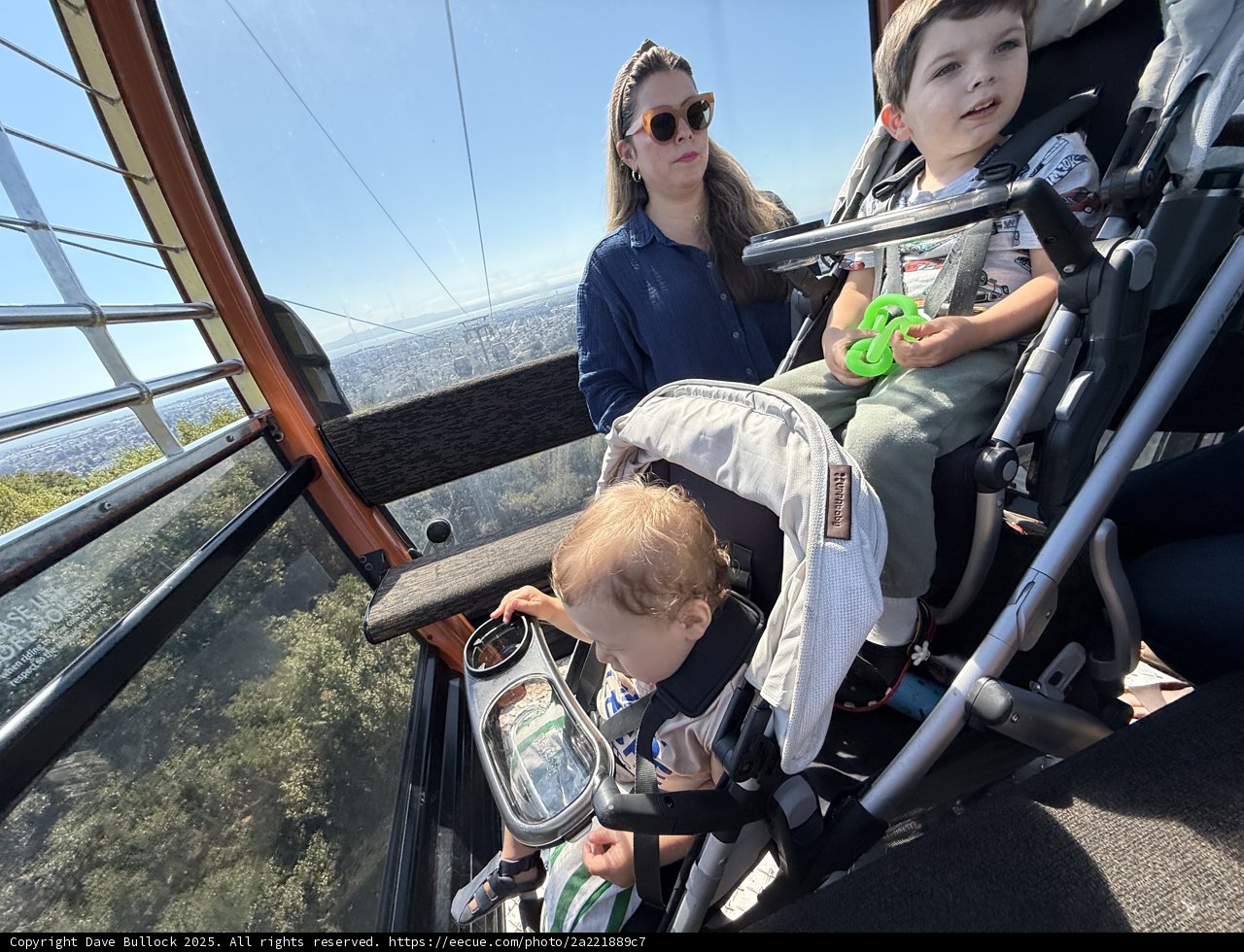 A Day of Family Adventure