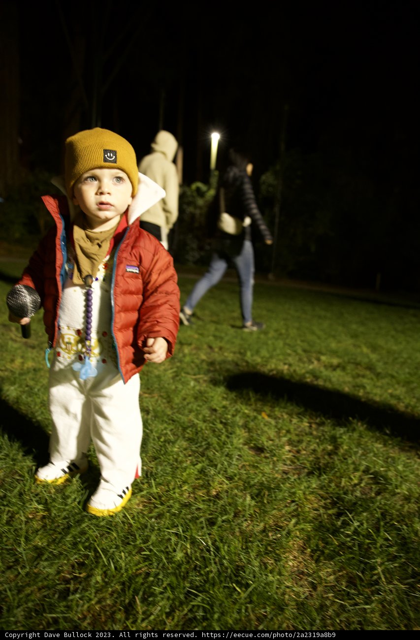 Starry Night at Stern Grove: Wesley's Halloween Adventure