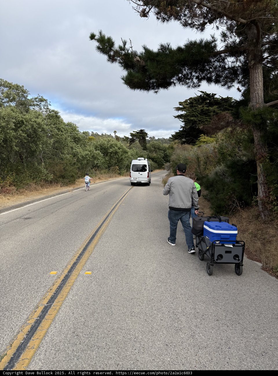 Summer Stroll on Scenic Roads