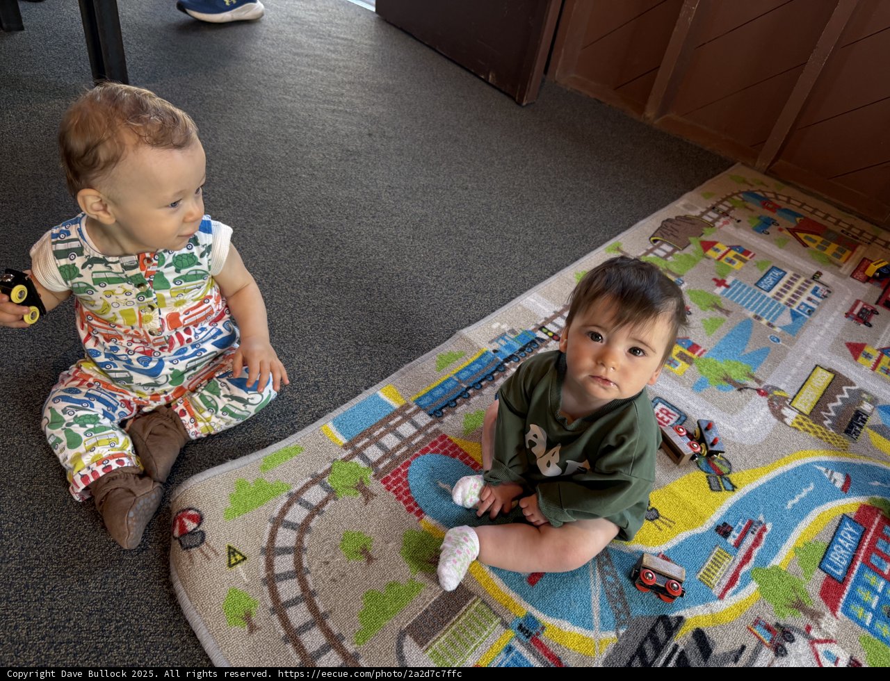 Playful Moments at Marin Headlands