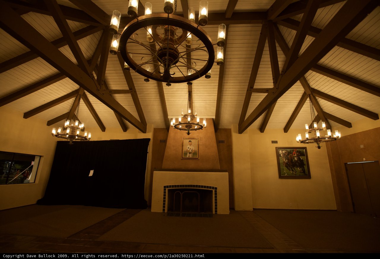 Grandeur of Fireplaces and Chandeliers