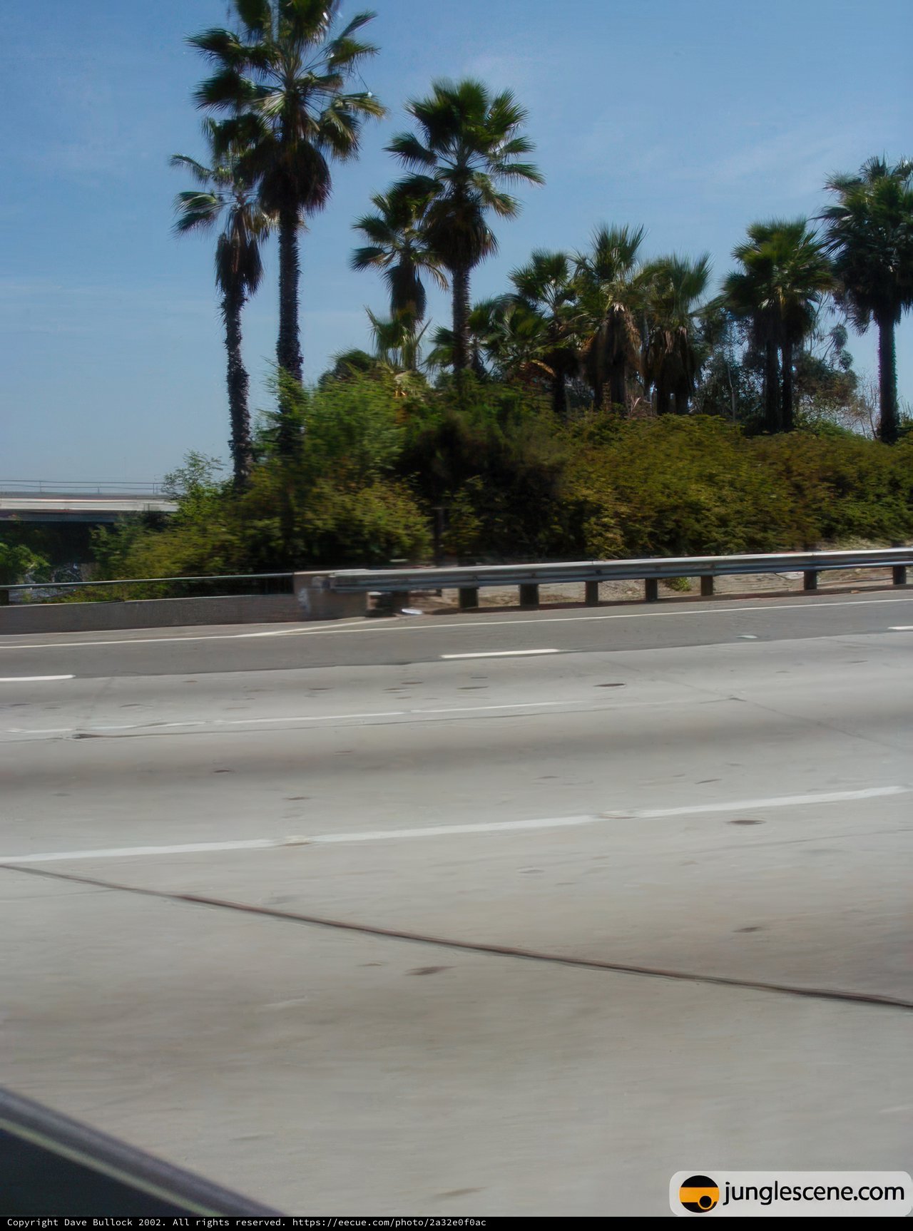 Freeway Scenery on a Sunny Day