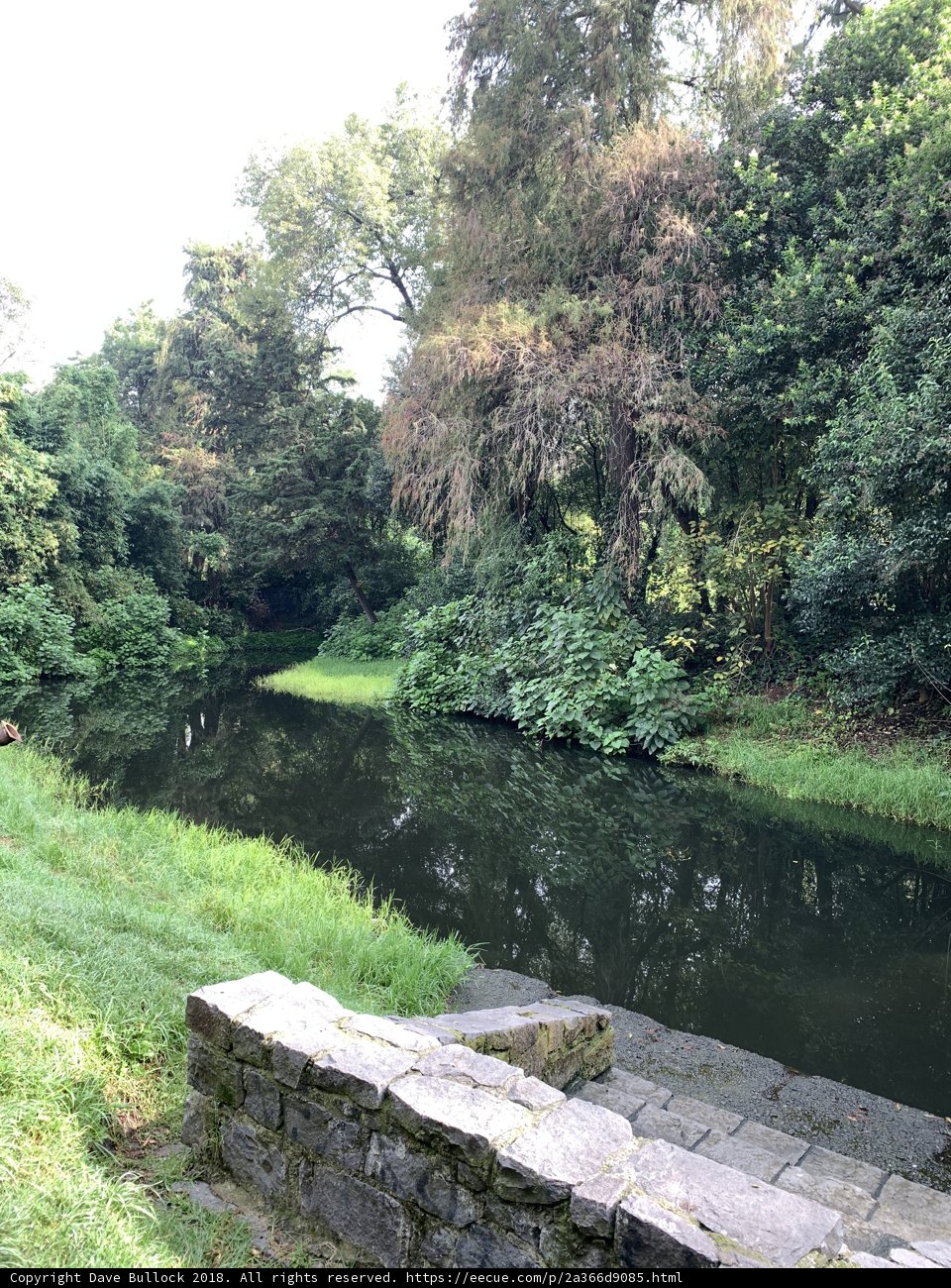 Serenity in Nature