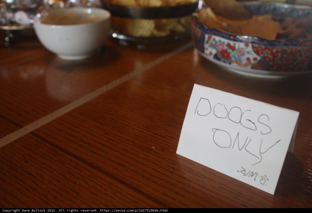 Dogs Only