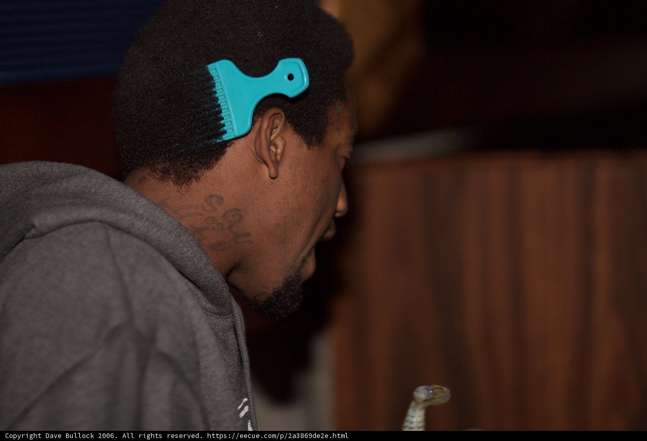 Blue Comb Man