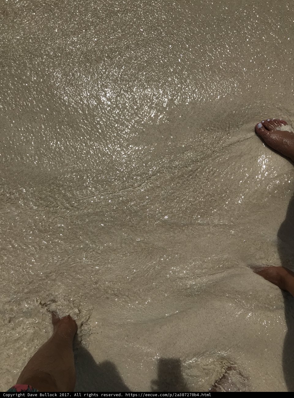 Beach Bumming