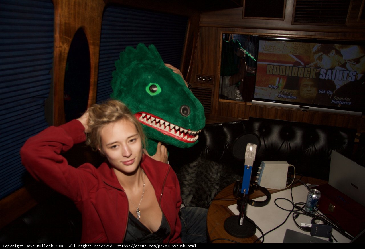 The Woman and Her Stuffed Dinosaur