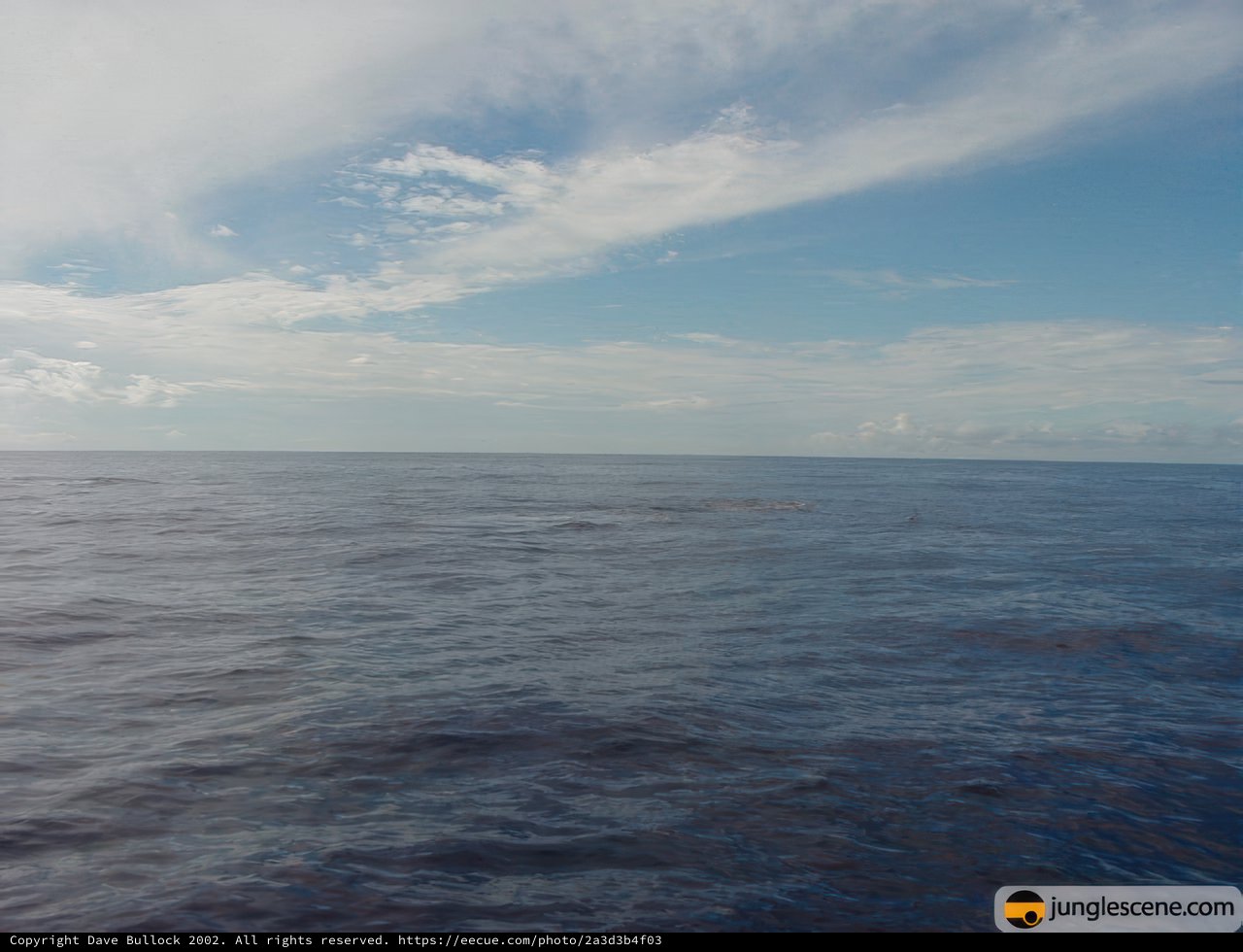 Sailing into the Azure Horizon