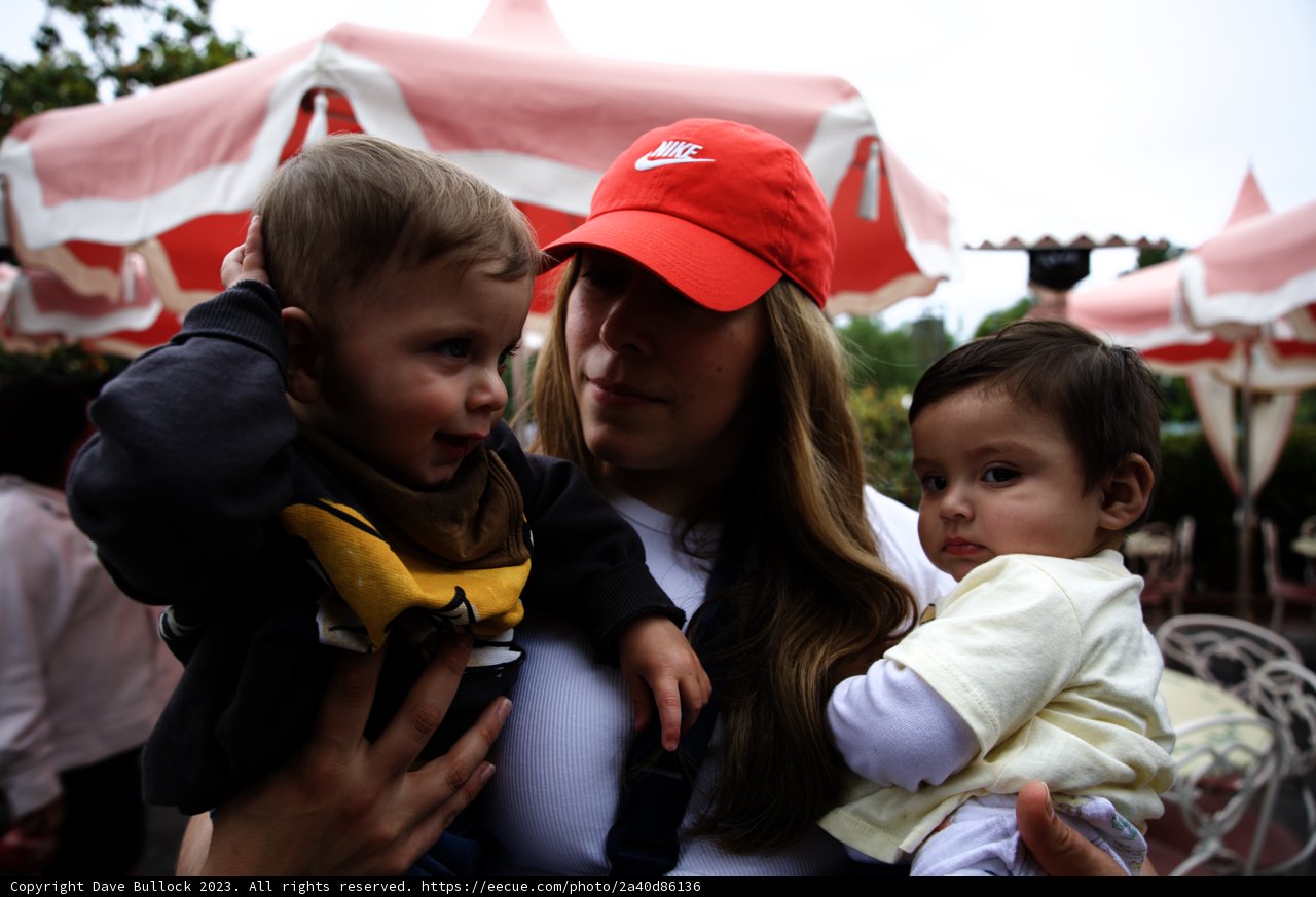 Cherished Moments at Disneyland