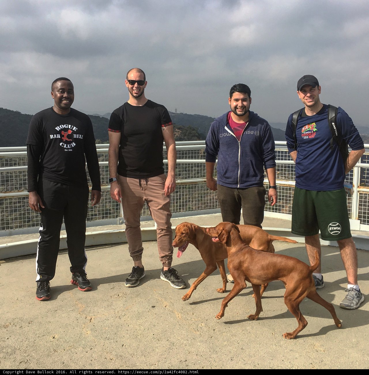 Four friends and their furry companions on a hilltop bridge