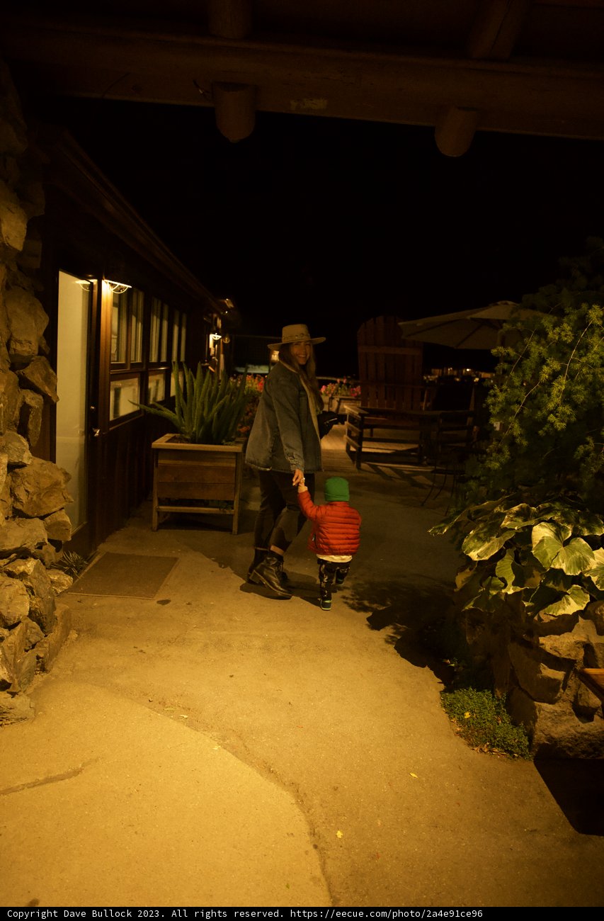 A Night Walk Under The Starry Big Sur Sky