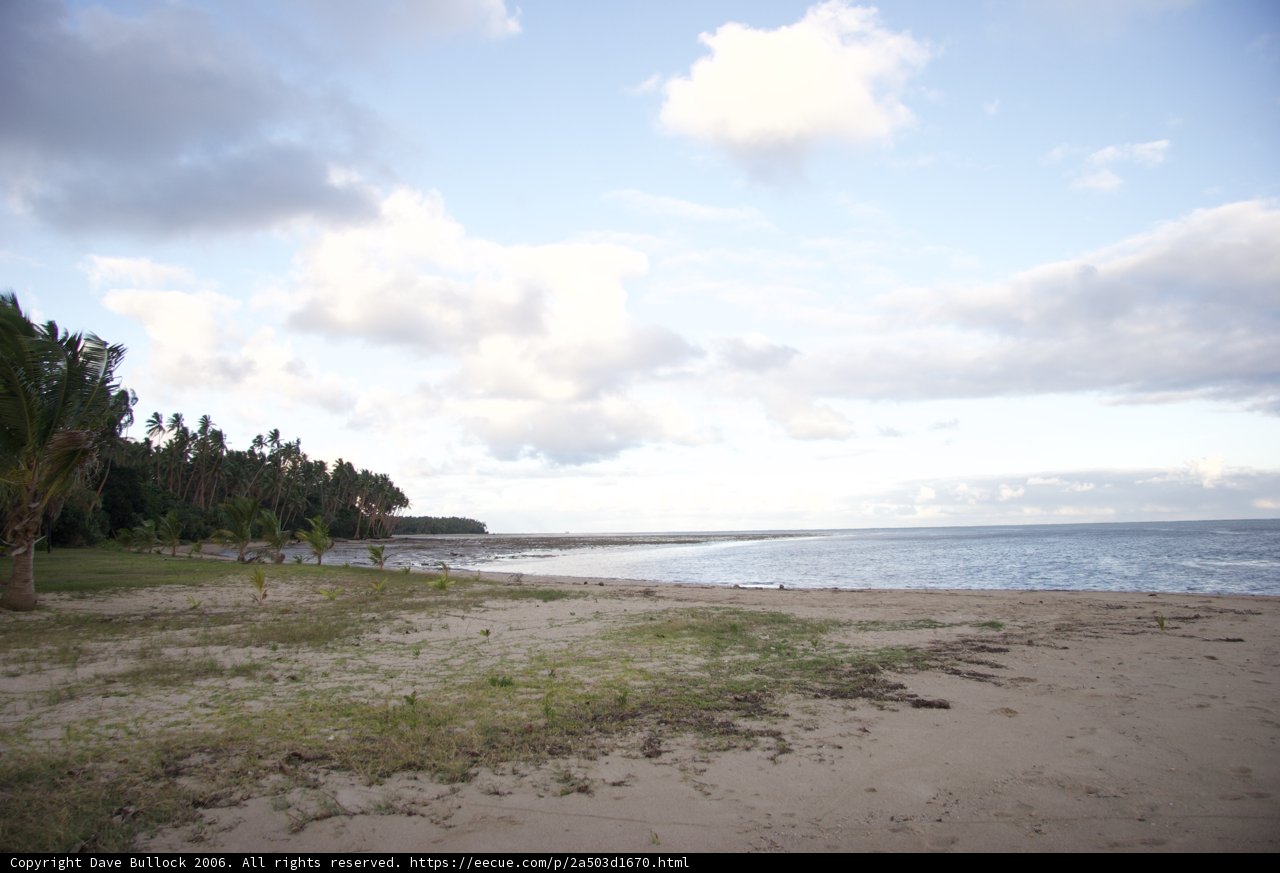 Serene Summer Shoreline