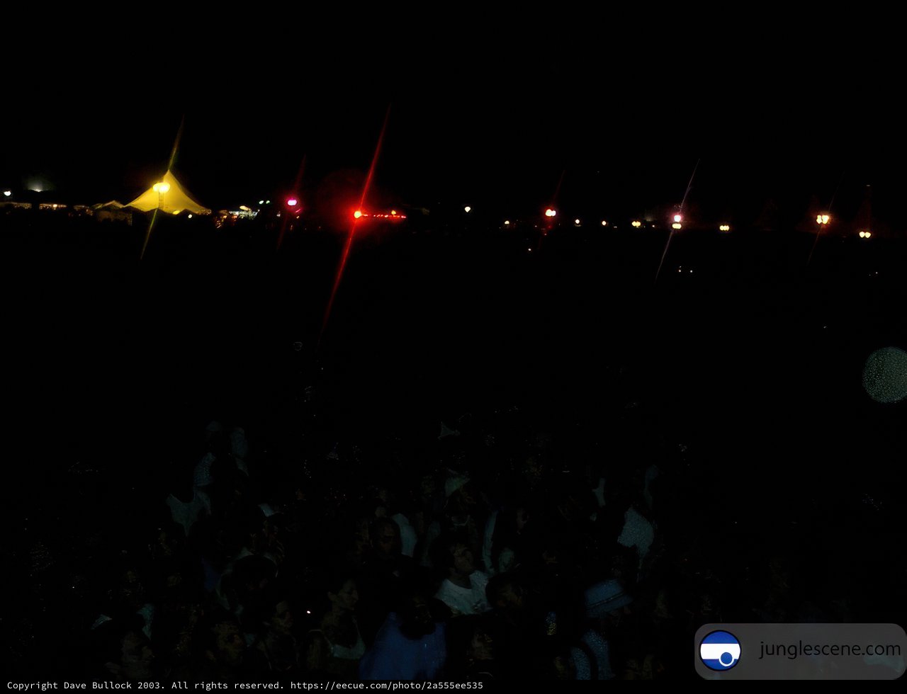 Night Fever at Coachella