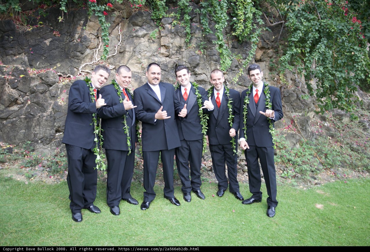 Groom and Groomsmen Rock Formal Suits for Hawaii Wedding