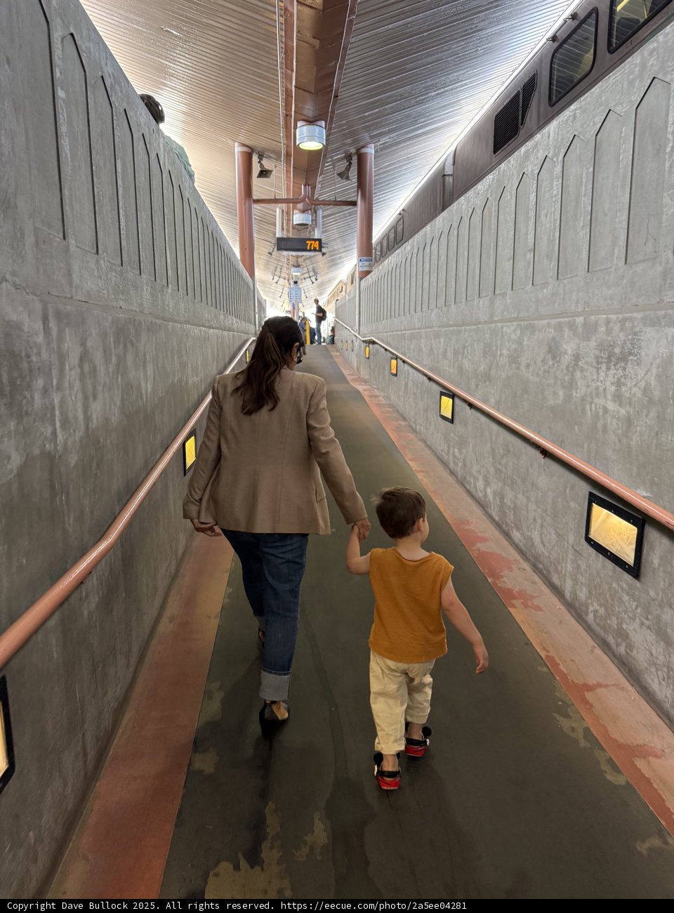 Journey Through the Urban Tunnel