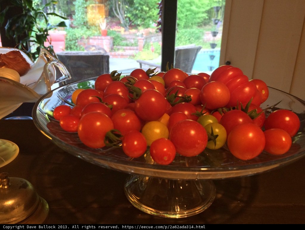 Tomato Harvest on a Decorative Table