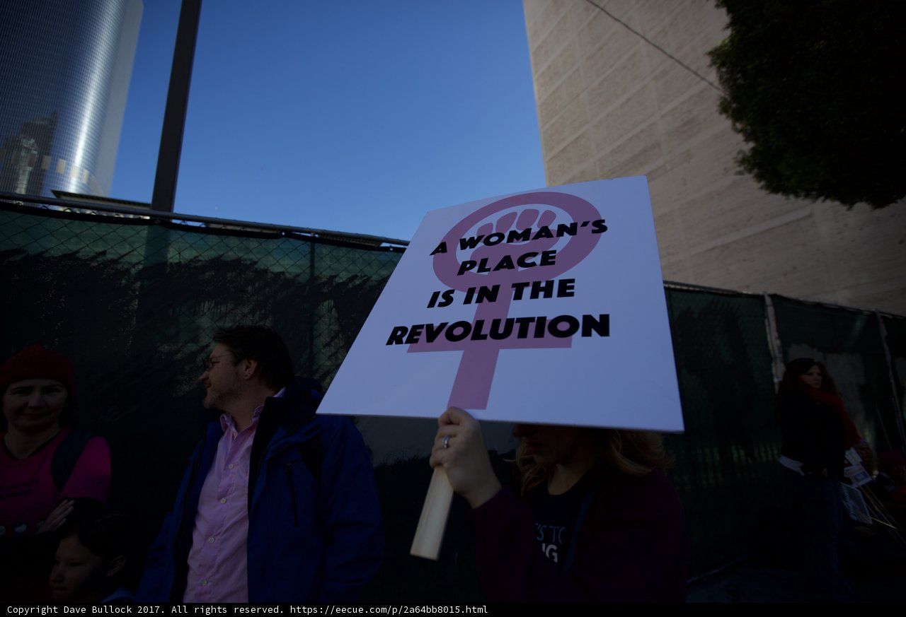 Woman in the Revolution