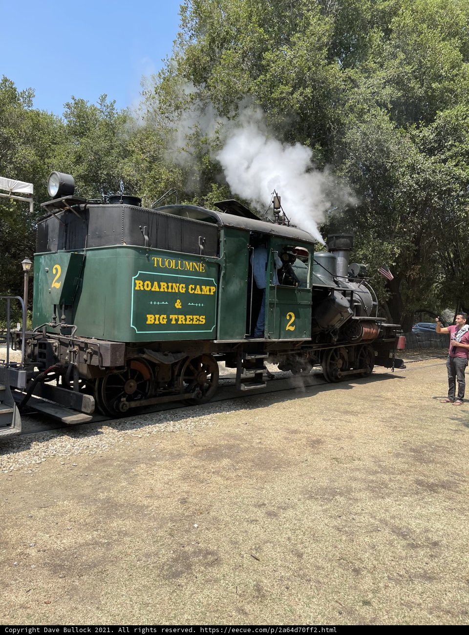 Green Locomotive on a Sunny Day