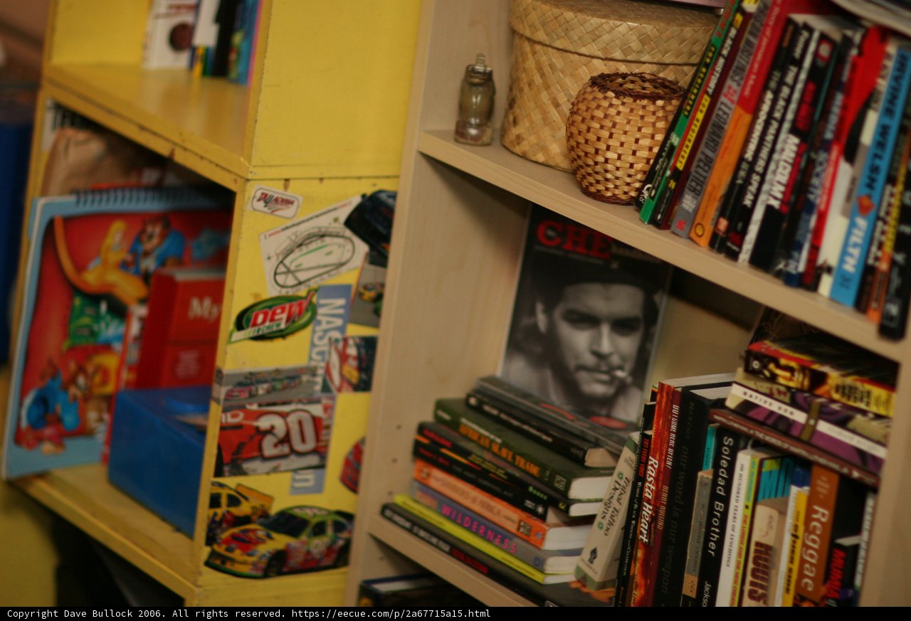 The Yellow Bookcase