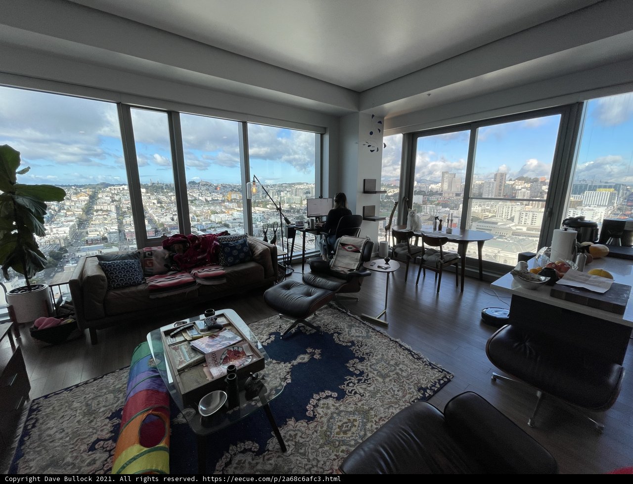 City Views from a Penthouse Living Room