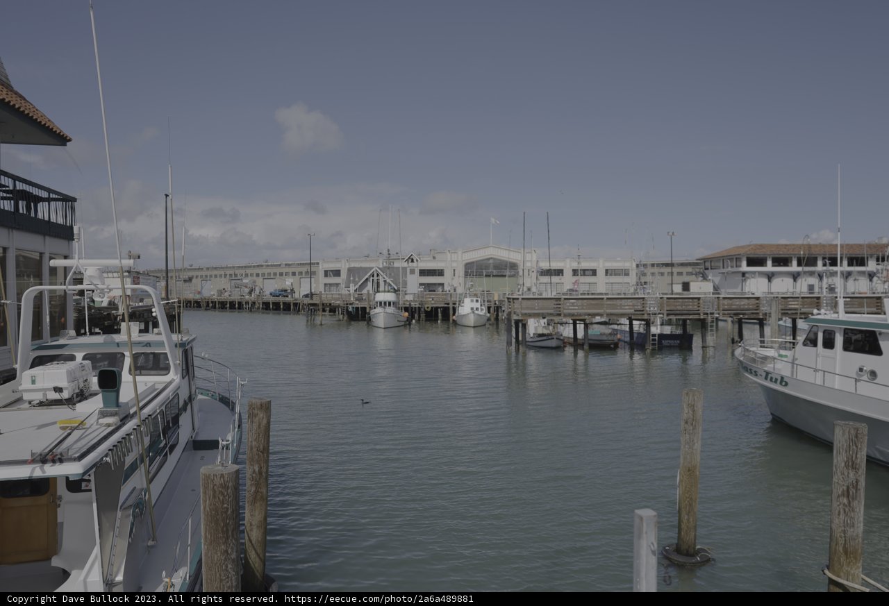 Harbor Haven