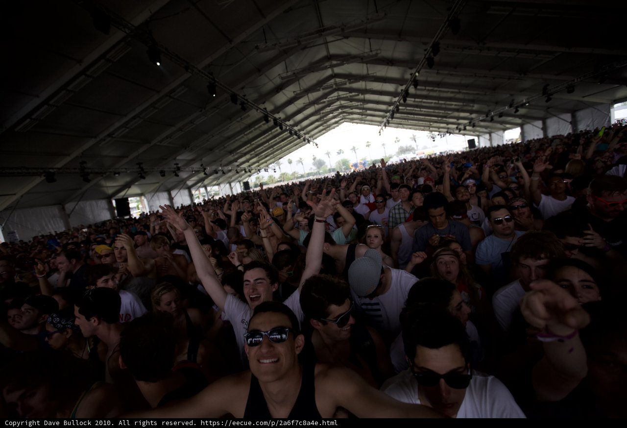 Coachella Music Festival Crowd